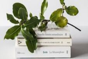 CookBook